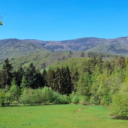 Ville Centre - Gite Le Villois - Au Coeur De L'Alsace Bagian luar foto