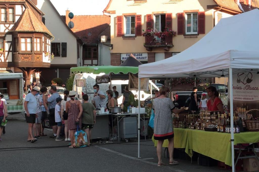 Ville Centre - Gite Le Villois - Au Coeur De L'Alsace Bagian luar foto