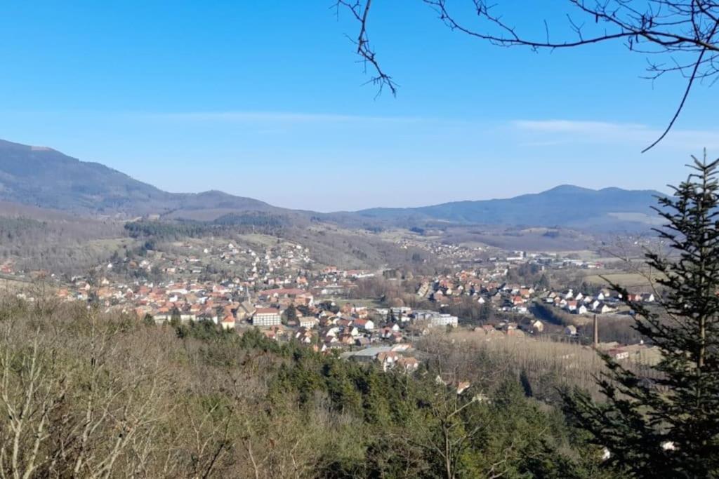 Ville Centre - Gite Le Villois - Au Coeur De L'Alsace Bagian luar foto