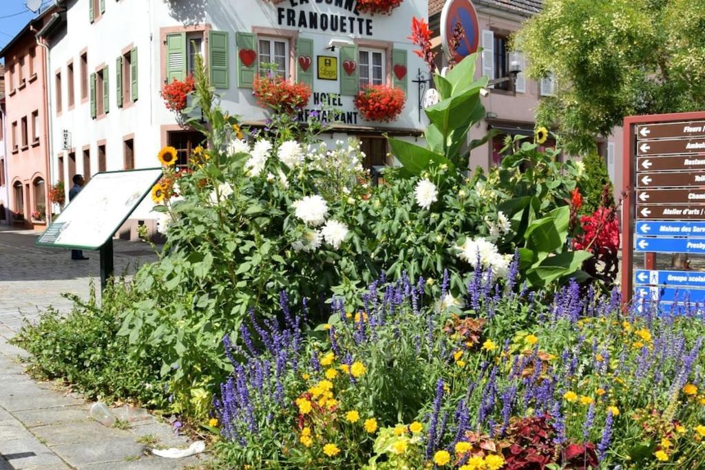 Ville Centre - Gite Le Villois - Au Coeur De L'Alsace Bagian luar foto