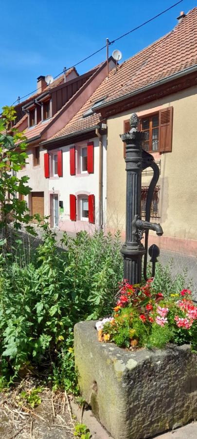 Ville Centre - Gite Le Villois - Au Coeur De L'Alsace Bagian luar foto